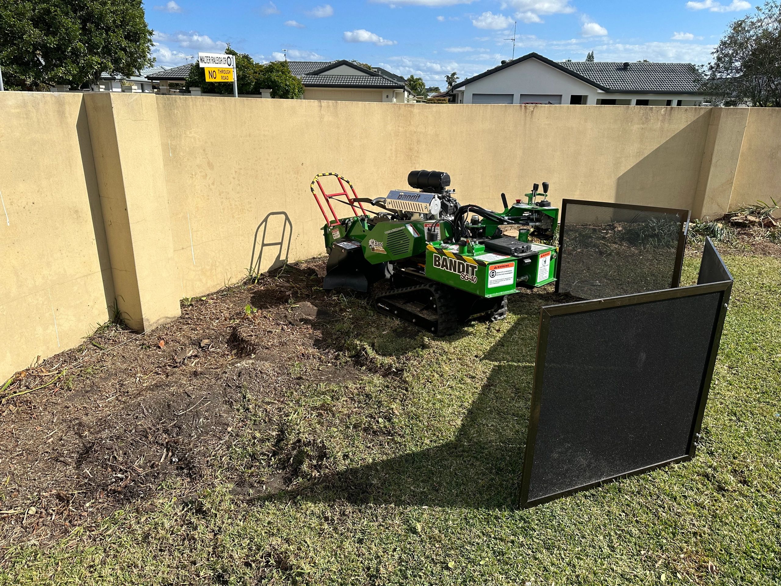 Professional Tree Removal and Stump Grinding Services